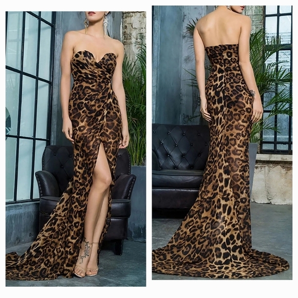 SEXY LEOPARD MESH MAXI DRESS - Picture 1 of 7